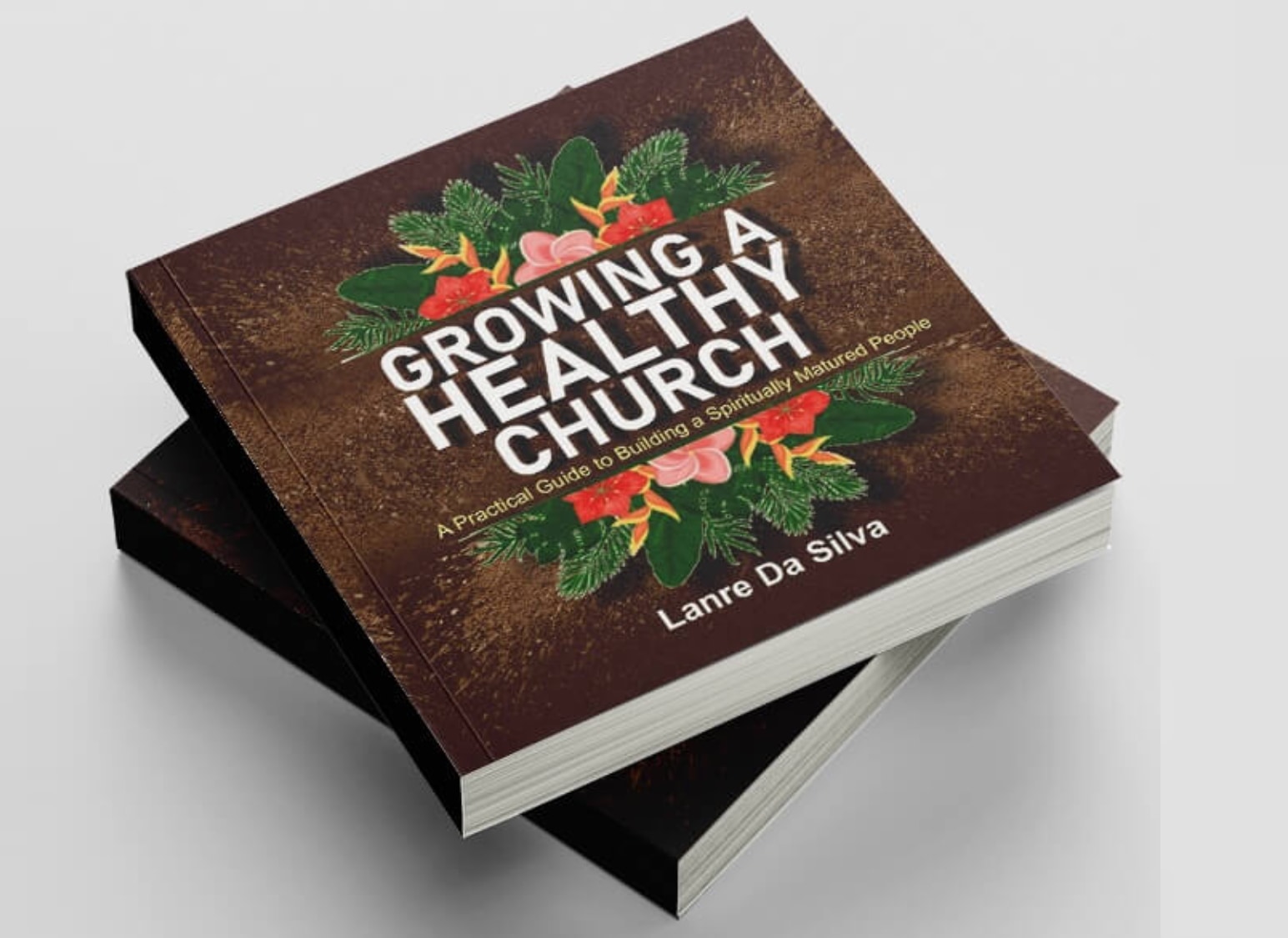 Growing A Healthy Church Book